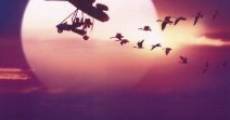 Fly Away Home film complet