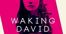 Waking David