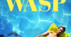 Wasp streaming