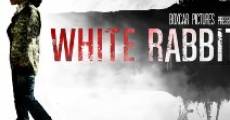 Filme completo White Rabbit