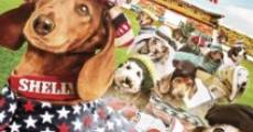 Wiener Dog Internationals film complet