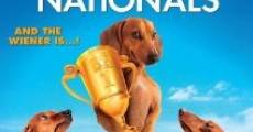 Wiener Dog Nationals