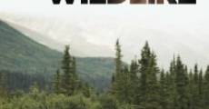 Filme completo Wildlike: Coração Selvagem