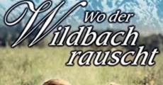 Wo der Wildbach rauscht