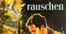 Wo die alten Wälder rauschen (1956)