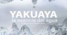 Filme completo Yakuaya, la esencia del agua