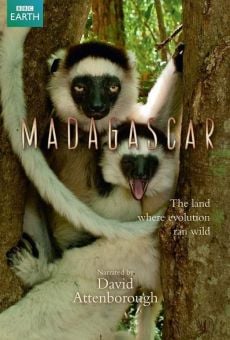 Madagascar online streaming