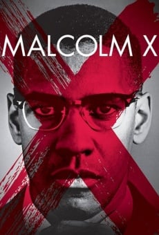 Malcolm X, película en español