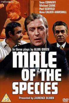Male of the Species on-line gratuito