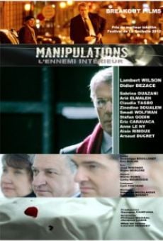 Manipulations (2012)