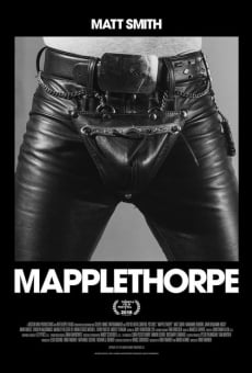 Mapplethorpe en ligne gratuit