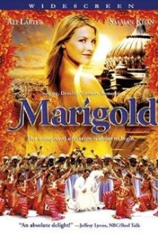 Marigold gratis