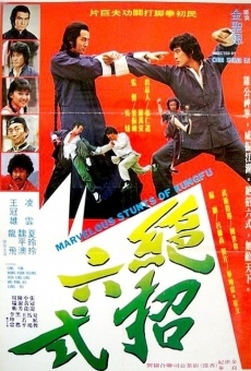 Película: Marvelous Stunts Of Kung Fu