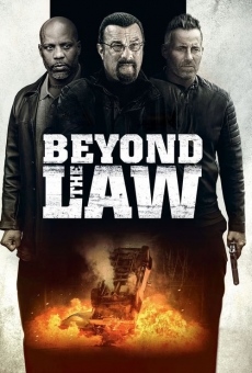 Beyond the Law - L'infiltrato online streaming