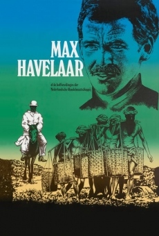 Película: Max Havelaar