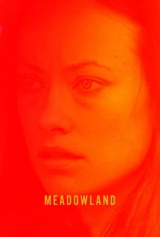 Meadowland - Scomparso online streaming