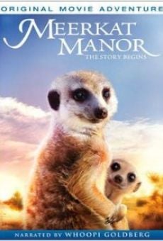 Película: Meerkat Manor: The Story Begins