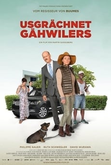Película: Meet The Gähwilers