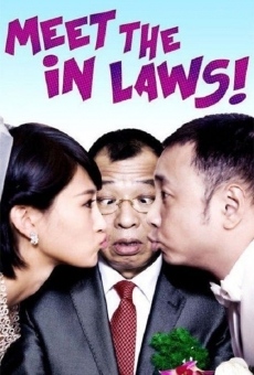 Película: Meet the In Laws