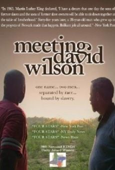 Película: Meeting David Wilson