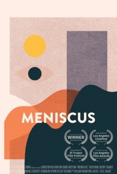 Meniscus online