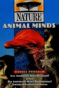 Animal Minds online streaming