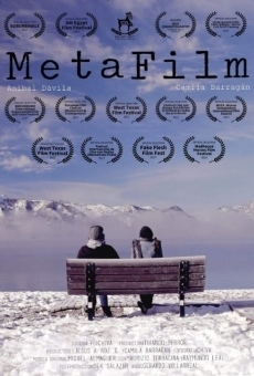 Película: MetaFilm