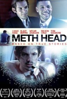 Meth Head (2013)