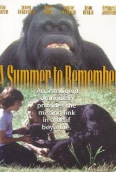 A Summer to Remember gratis