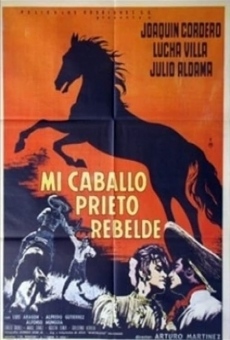 Película: Mi caballo prieto rebelde