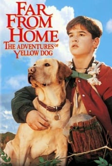 Far from Home: The Adventures of Yellow Dog, película en español