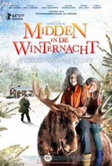 Midden in De Winternacht on-line gratuito