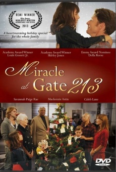 Miracle at Gate 213 online streaming