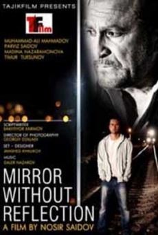Mirror Without Reflection (2014)
