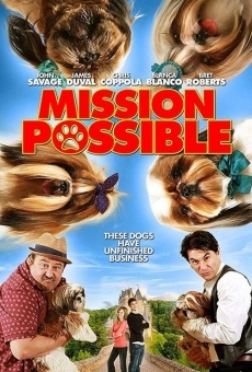 Mission Possible online streaming
