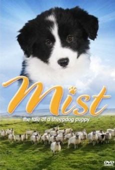 Película: Mist: The Tale of a Sheepdog Puppy