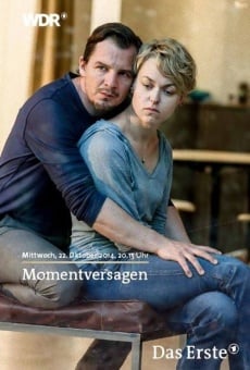 Momentversagen (2014)