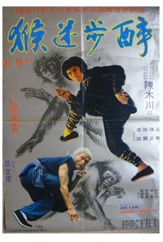 Película: Monkey Kung Fu