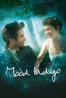 Mood Indigo - La schiuma dei giorni online streaming