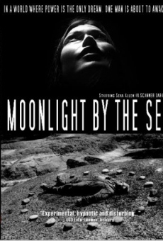 Película: Luz de luna junto al mar