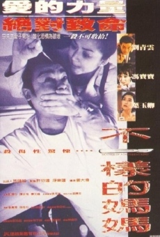 Bu yi yang de ma ma (1995)