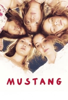 Película: Mustang: belleza salvaje