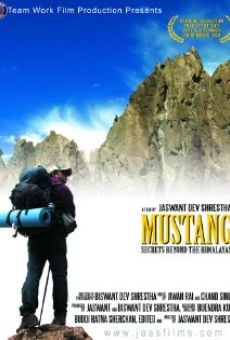 Película: Mustang Secrets Beyond the Himalayas