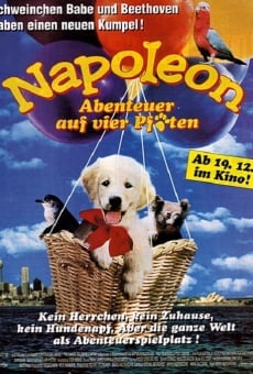 Película: Napoleón, el perrito aventurero