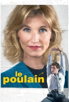 Le poulain online streaming