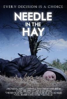Needle in the Hay (2011)