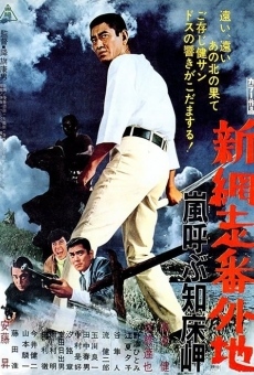 Shin abashiri bangaichi: Arashi yobu shiretoko-misaki (1971)