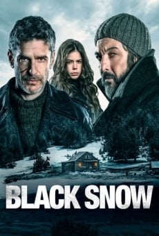 Nieve negra (2017)