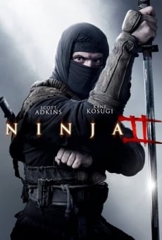 Ninja II: Shadow of a Tear on-line gratuito