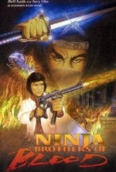 Ninja Knight Brothers of Blood Online Free